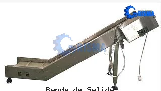 Banda de Salida